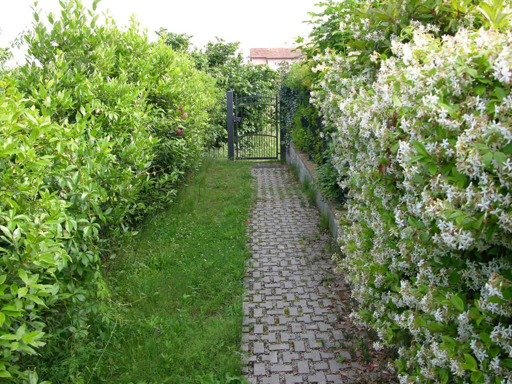 Appartamento Vacanze Magnolia E Glicine Туоро-суль-Тразимено Экстерьер фото